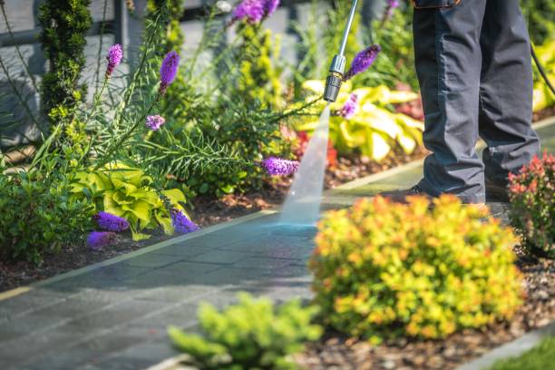 Best Fence Cleaning  in Willow Street, PA